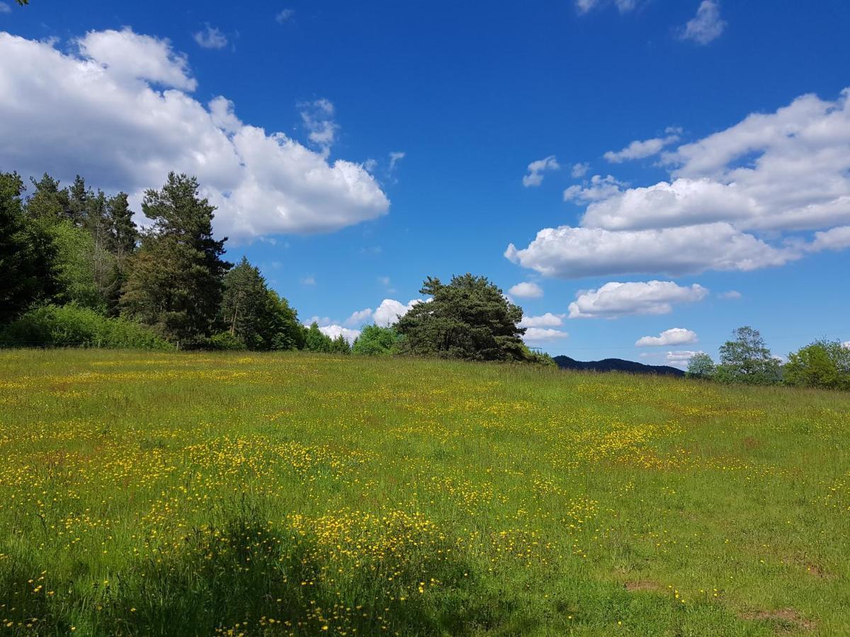 Hoellenbergblick Spirkelbach エクステリア 写真